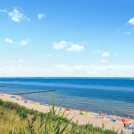 Pet Friendly In Rewal