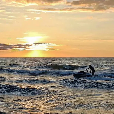 Pet Friendly In Rewal