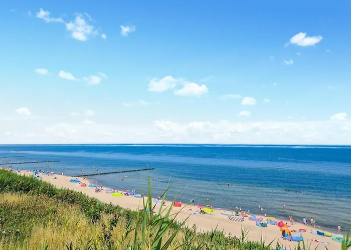 Pet Friendly In Rewal